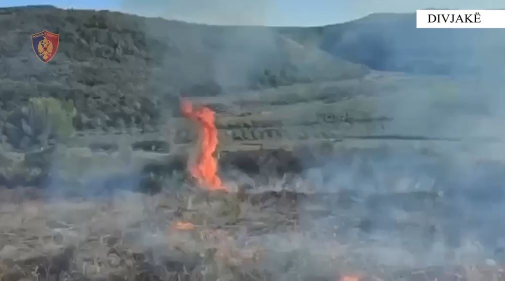29-vjeçari vë në rrezik Parkun e Divjakës pas zjarrit në Kryekuq