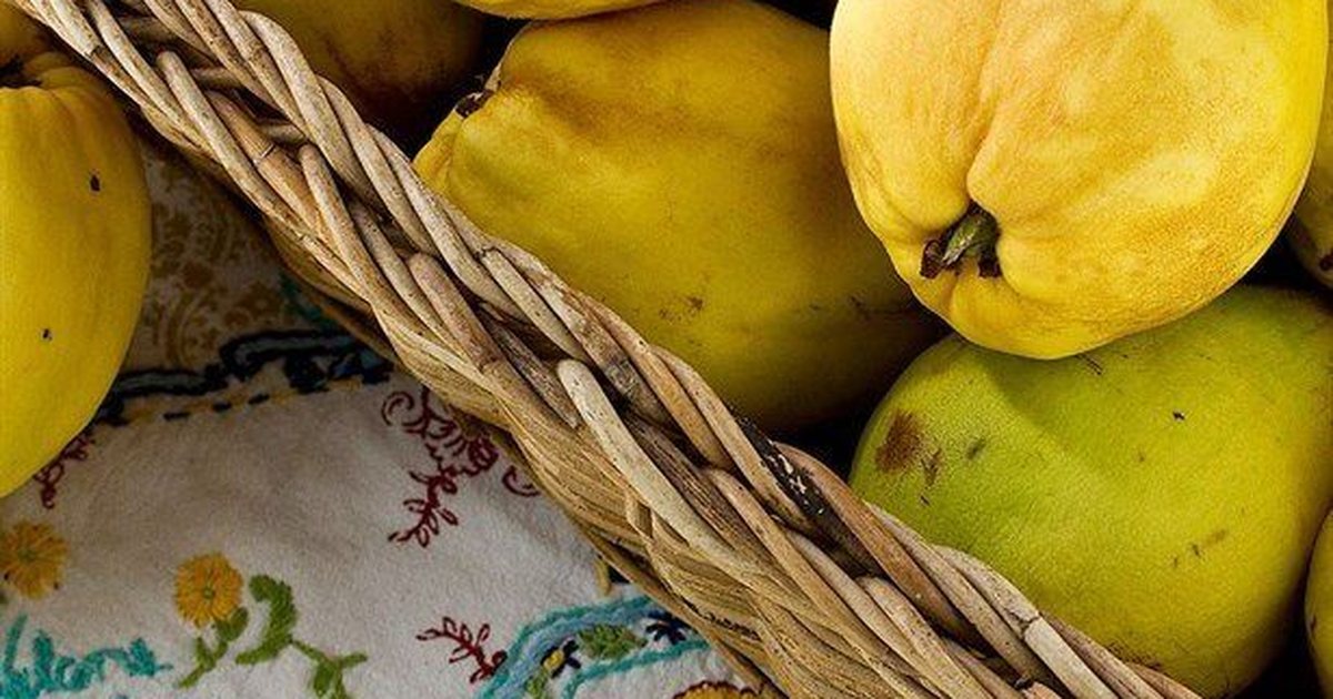 Fruti i vjeshtës që bën mrekulli për shëndetin tuaj