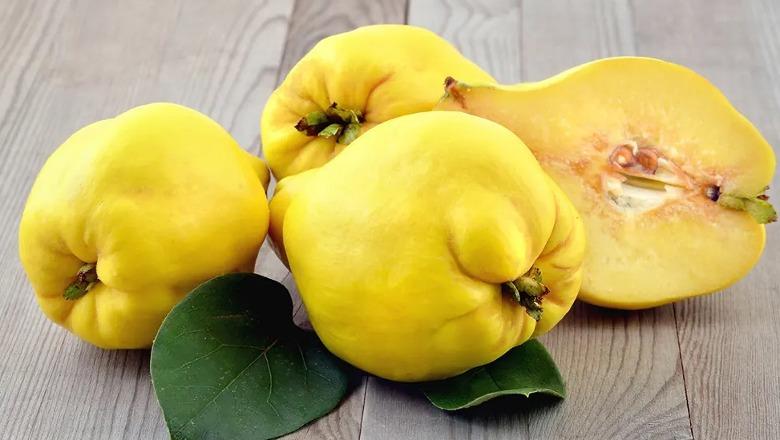 Ftoi, fruti i vjeshtës që bën mrekulli për shëndetin tuaj