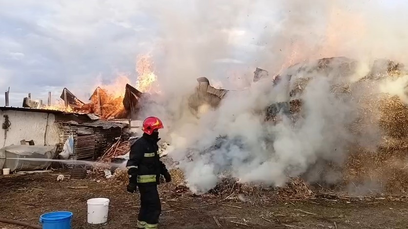Zjarri në magazinë në Larushk të Krujës shkatërron ushqimet dhe bagëtitë